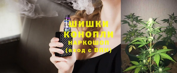 амф Дмитров