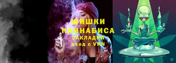 амф Дмитров