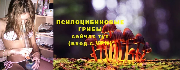 амф Дмитров
