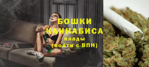 экстази Дмитриев
