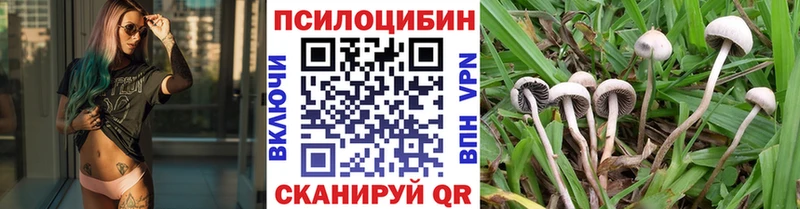 Купить  Карабаново  Псилоцибиновые грибы прущие грибы 