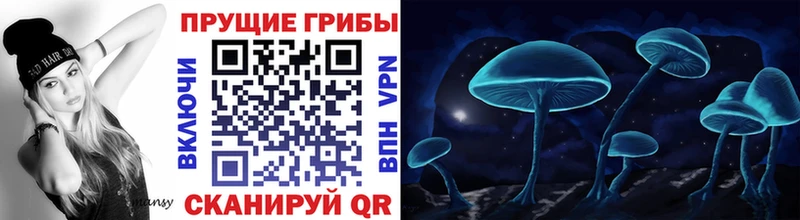 Галлюциногенные грибы MAGIC MUSHROOMS Карабаново