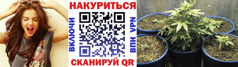 Конопля марихуана  Купить закладки  Карабаново 